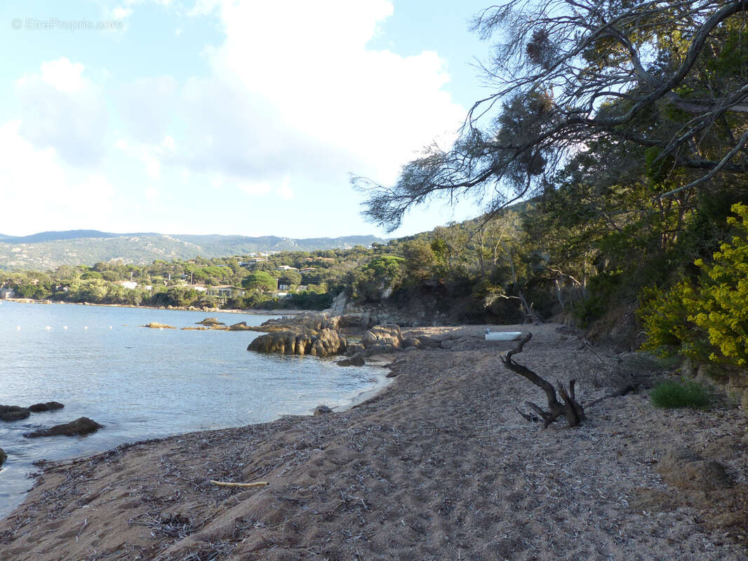 Maison à COTI-CHIAVARI