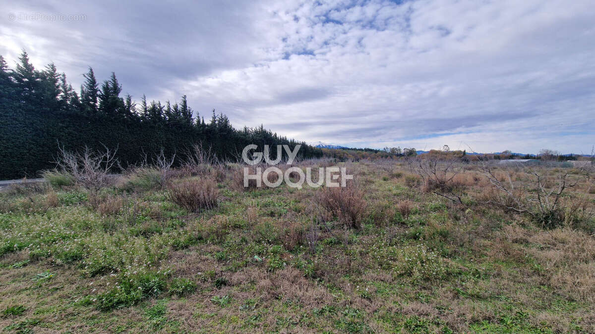 Terrain à TOULOUGES