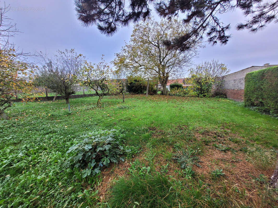 Maison à SAINS-EN-GOHELLE