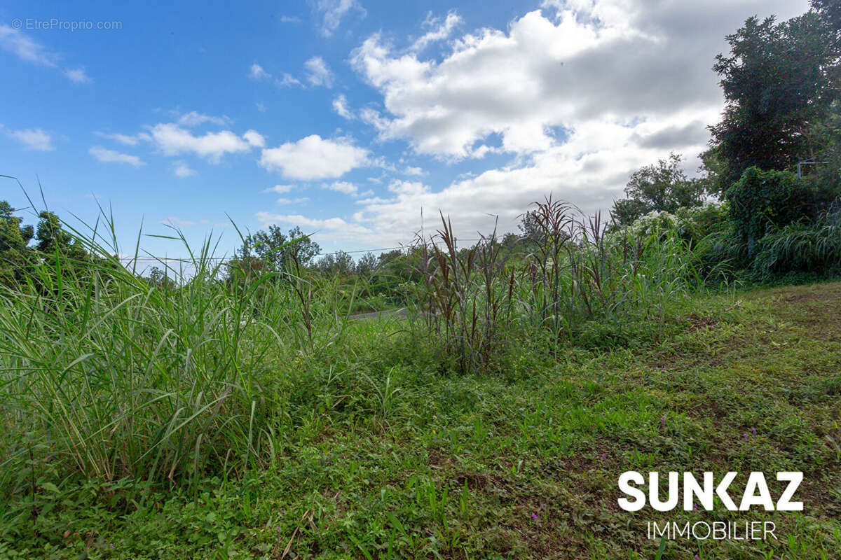 Terrain à LE TAMPON