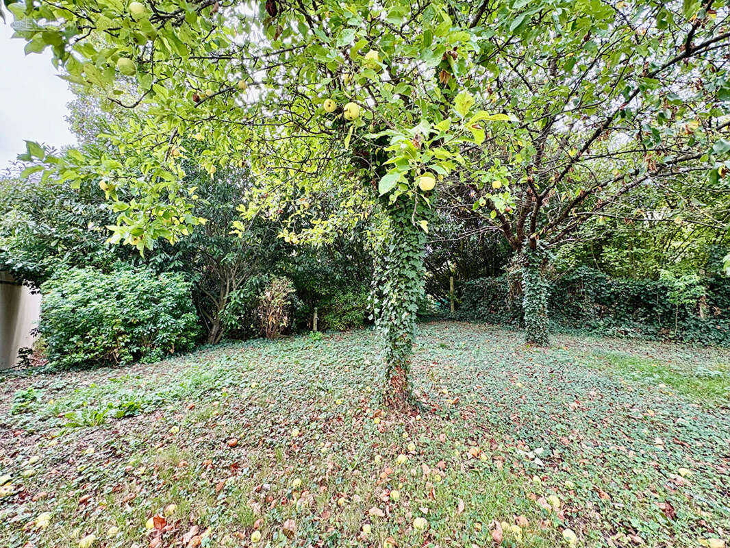 Maison à VERRIERES-LE-BUISSON