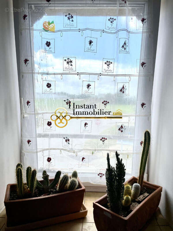 Appartement à PLOUGASNOU