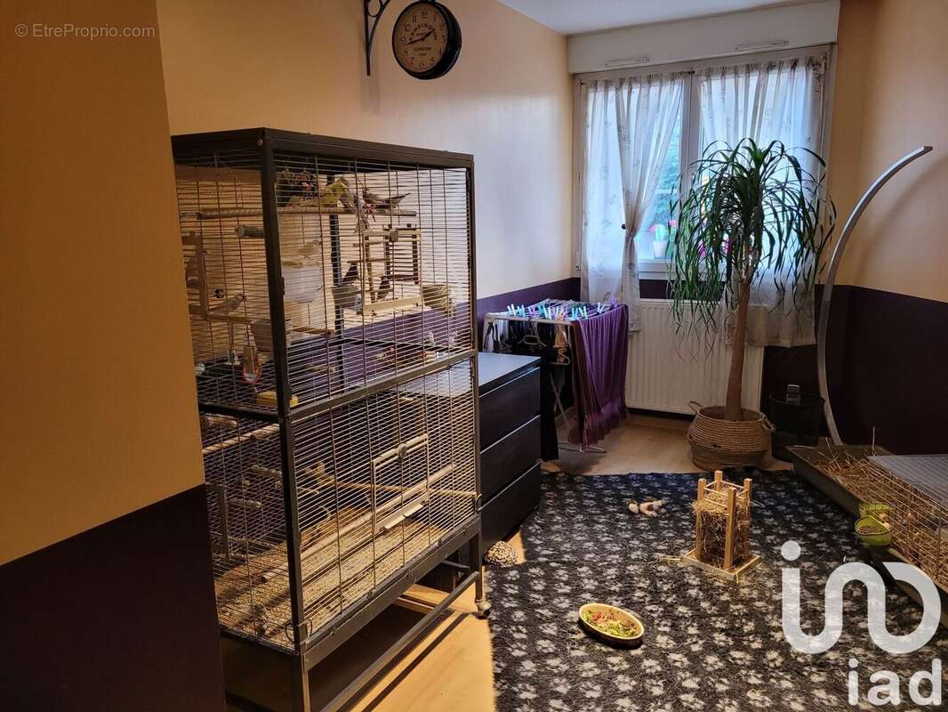 Photo 9 - Appartement à BISCHHEIM