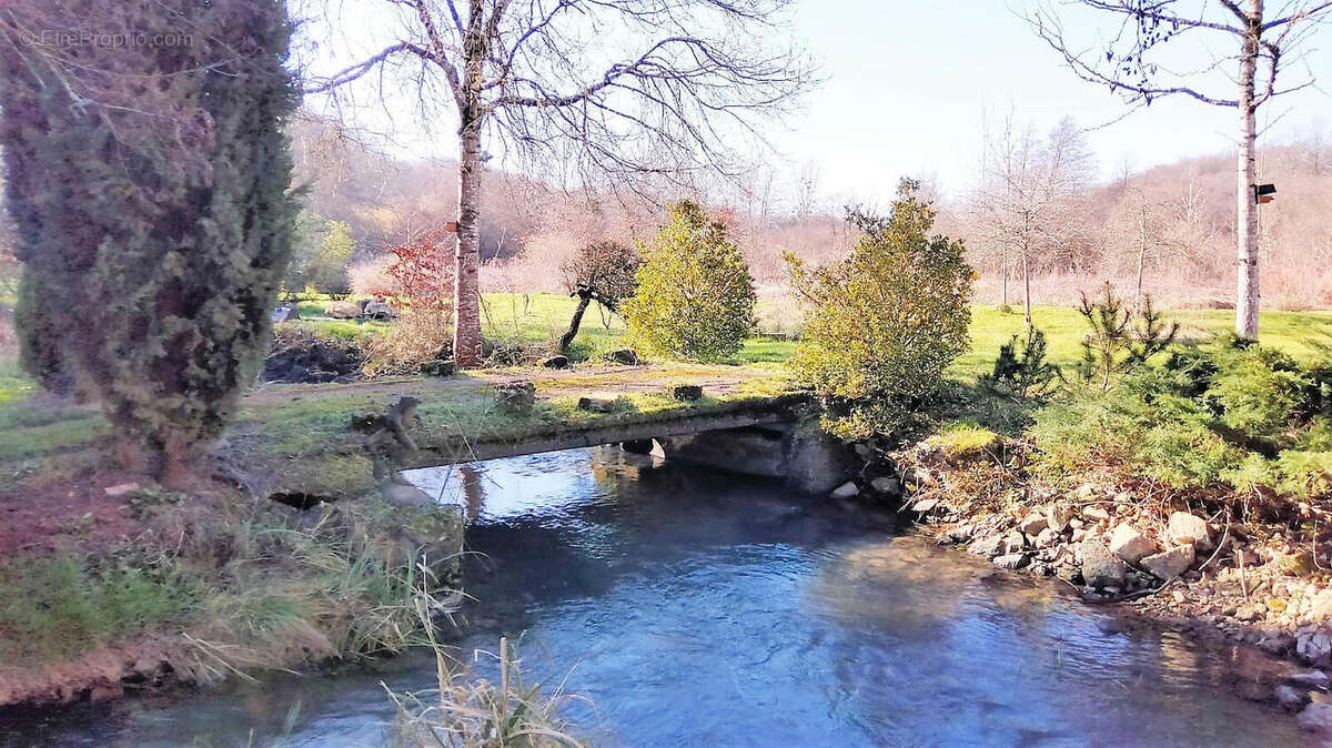 Charente. Moulin en Pierre pour Amoureux de la Nature, 8 ha, Ruisseau, Etang, Maison d'Amis, Bois - photo 14