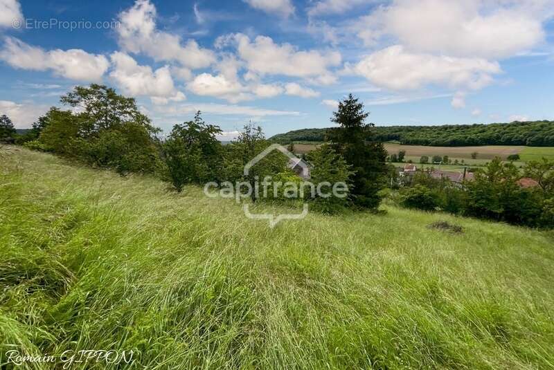 Maison à VANNES-LE-CHATEL