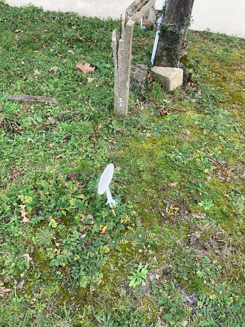 Terrain à SAINT-MICHEL-CHEF-CHEF