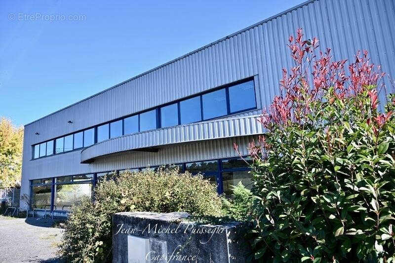 Commerce à SAINT-GAUDENS