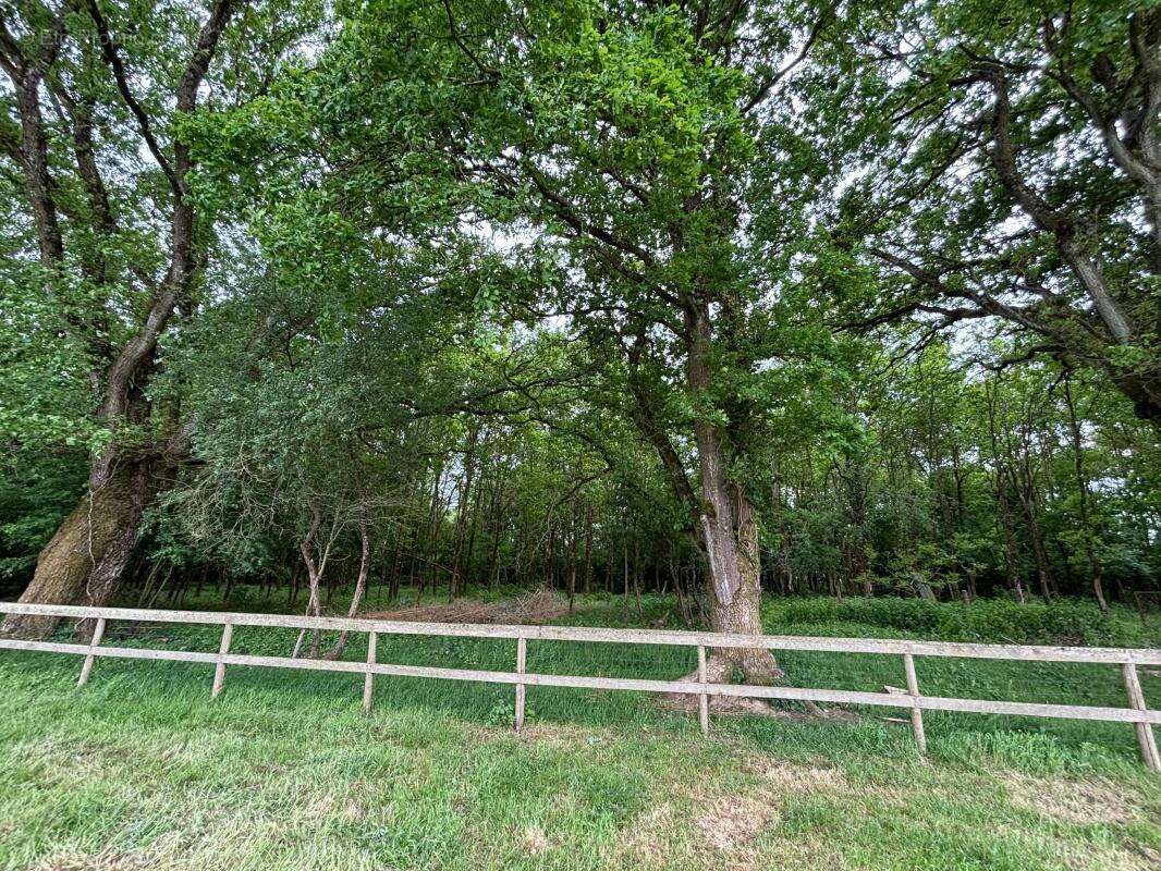 Maison à SAINT-AUBIN-DES-CHATEAUX