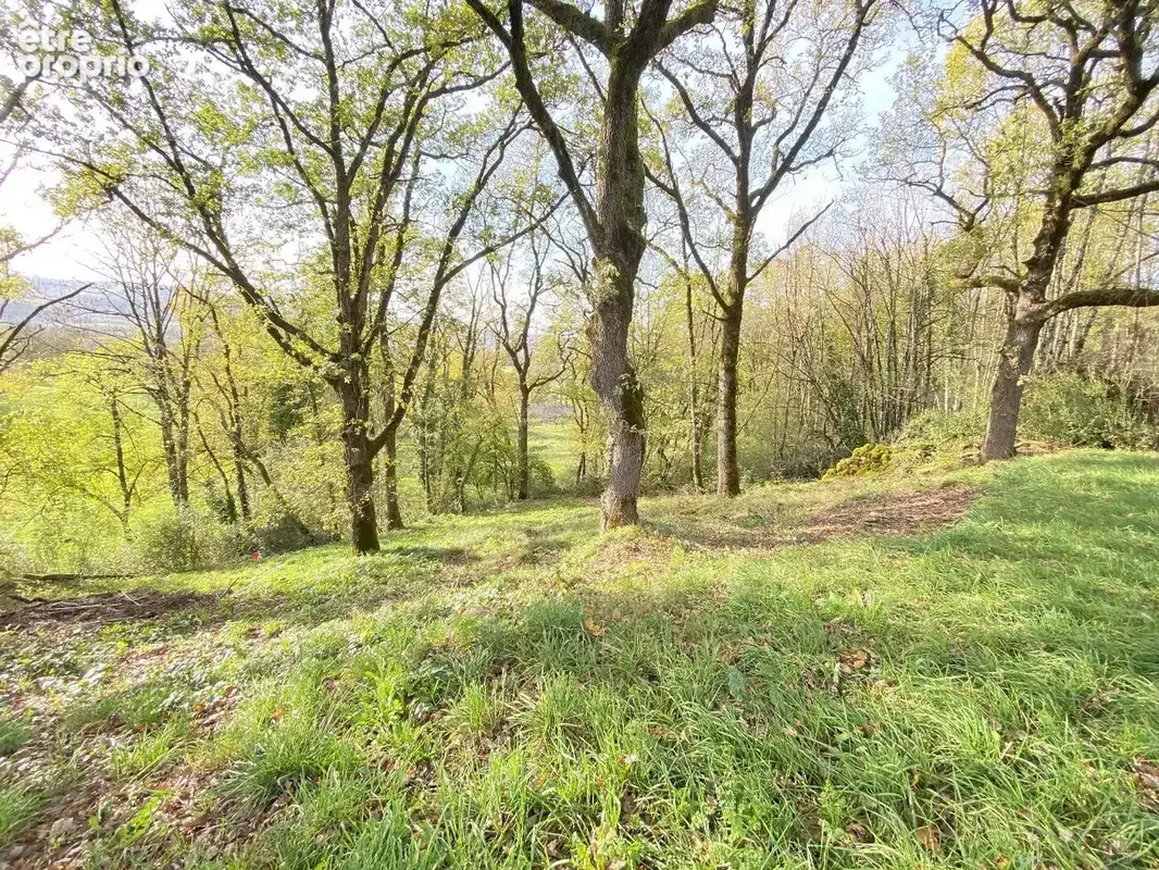 Photo Terrain à Prudhomat au prix de 24 500€