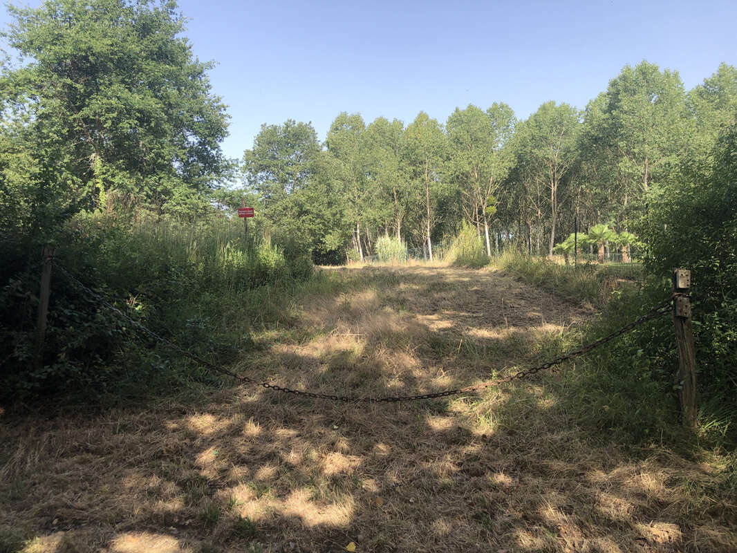 Terrain à CAZAUBON