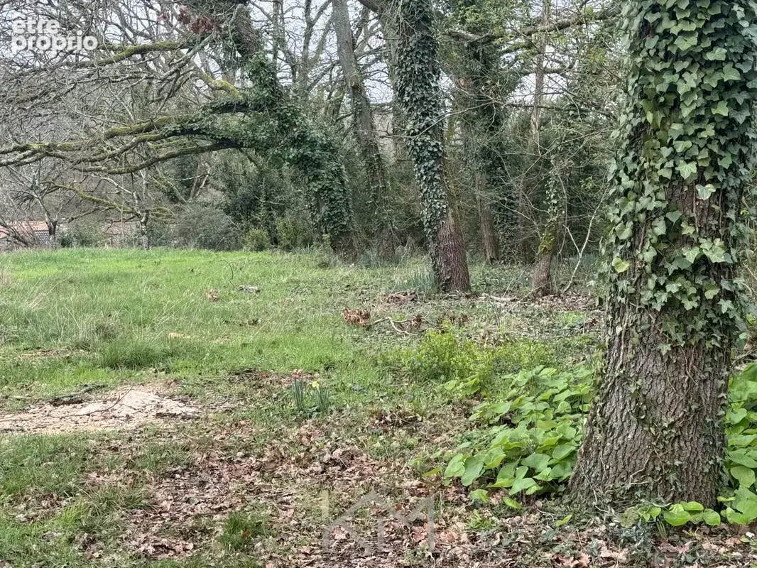 Terrain à SAINT-BENOIT