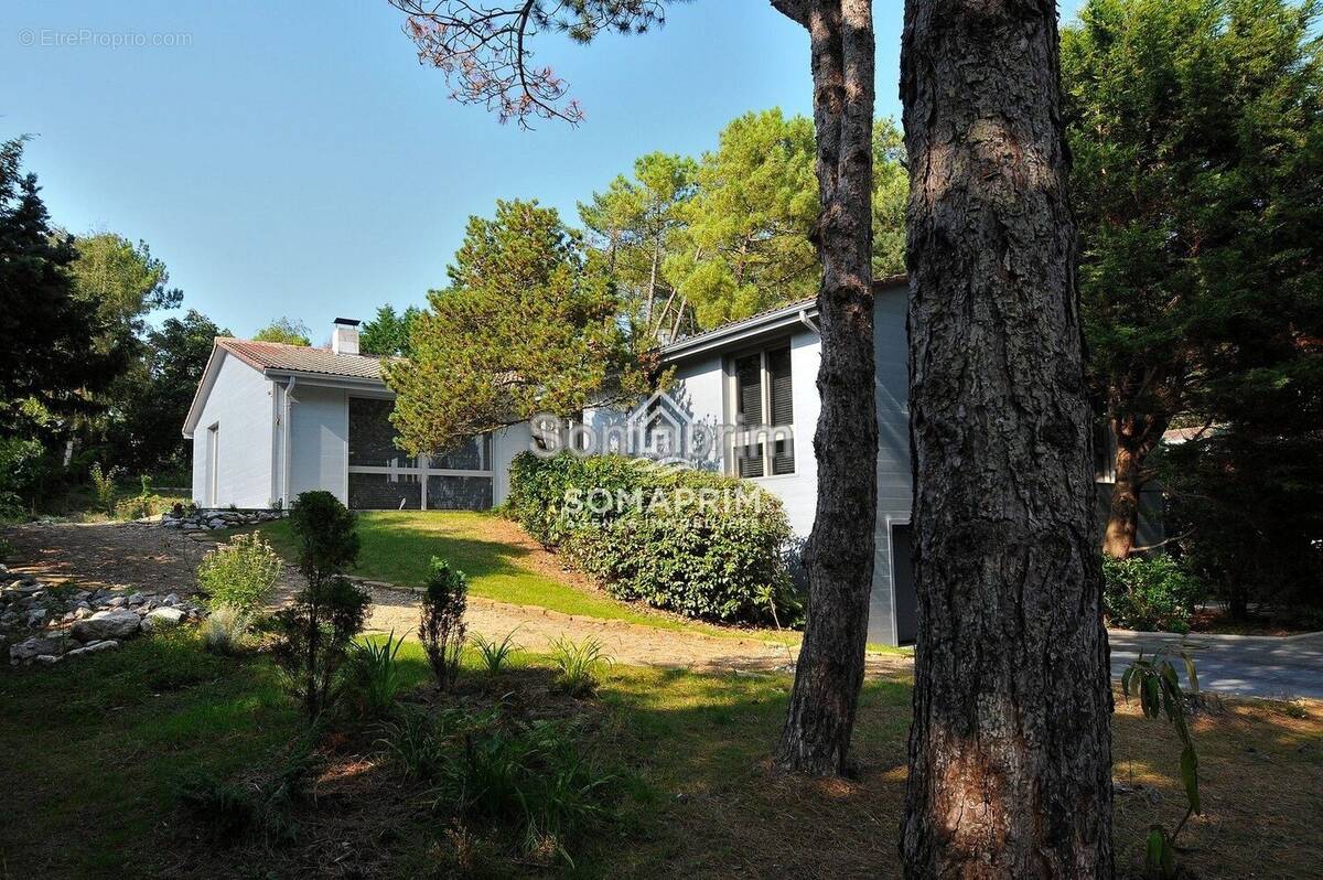 Maison à LE TOUQUET-PARIS-PLAGE