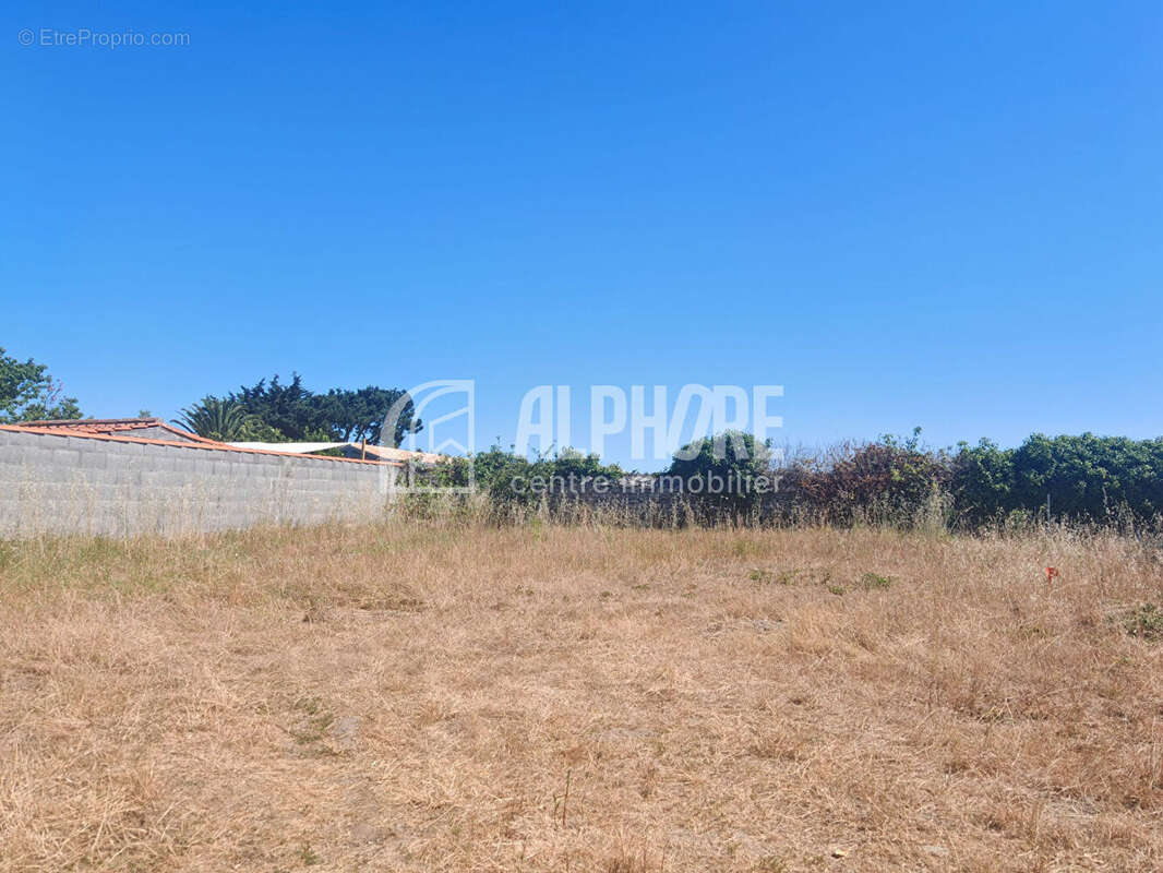 Terrain 495m² - NOIRMOUTIER EN L'ILE - PC accepté et purgé - photo 4
