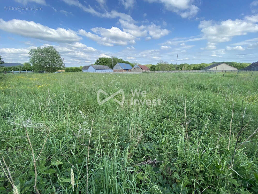 Terrain à MONDREPUIS