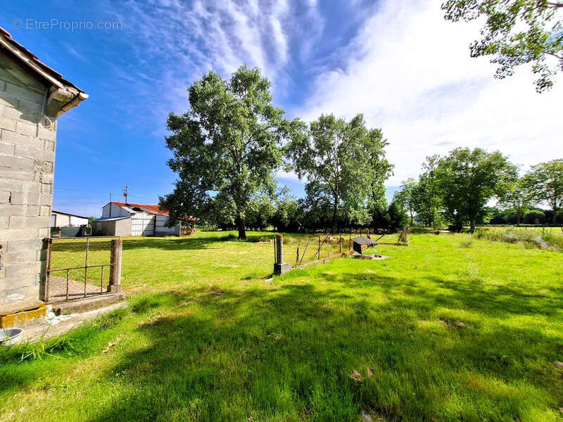 Corps de ferme à aménager avec dépendances et plus de 7 000 m² de terrain  Plaisance-du-Gers - photo 29