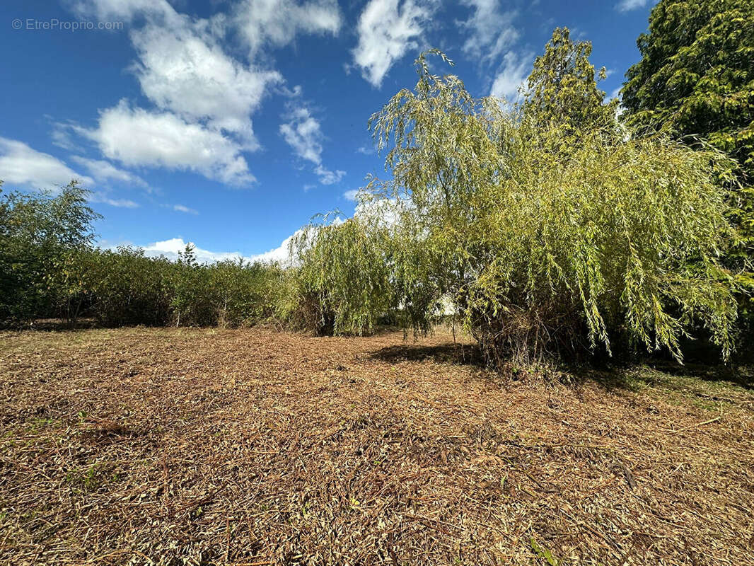 Terrain à MENNESSIS
