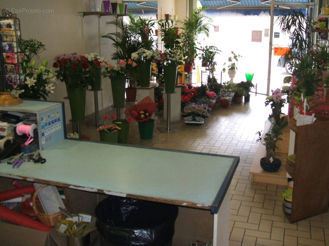 Autre à SAINT-LEGER-DES-VIGNES