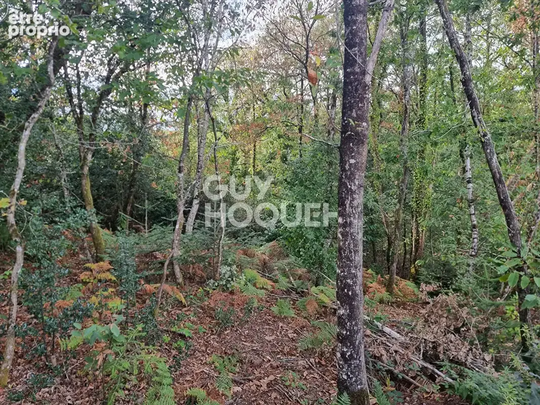 Terrain à QUESTEMBERT