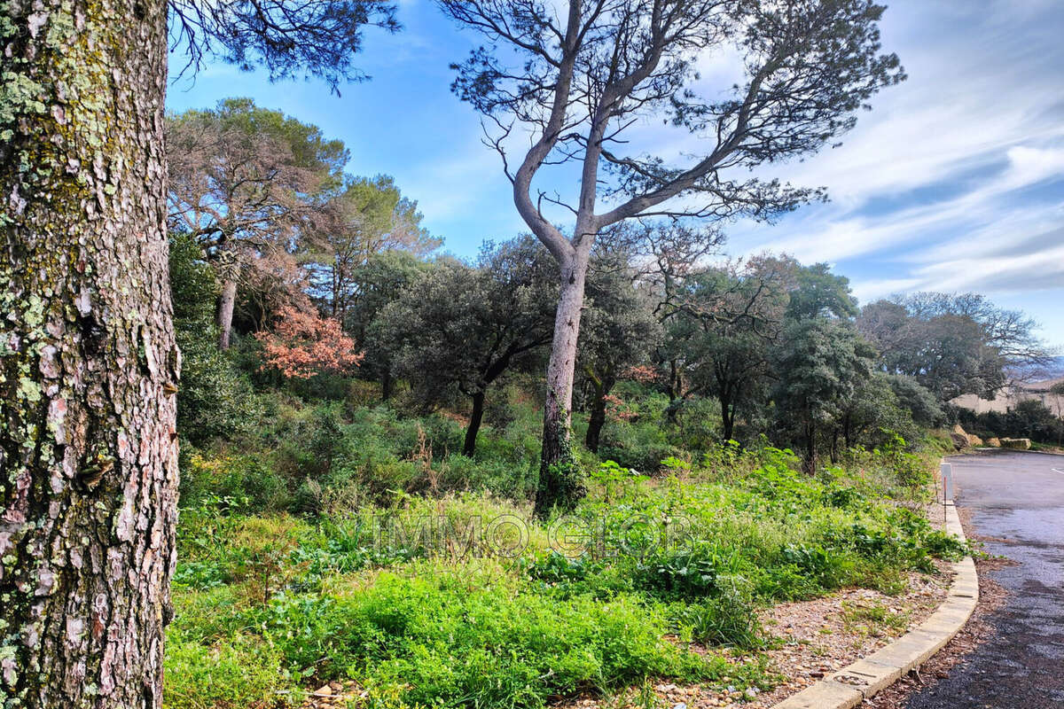 Terrain à VILLENEUVE-LES-AVIGNON