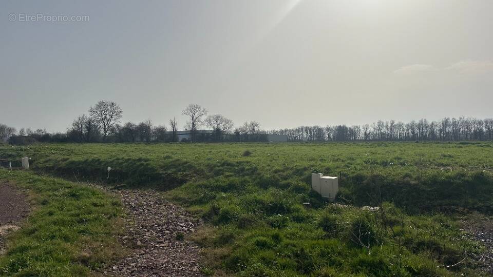 Terrain à ISIGNY-SUR-MER