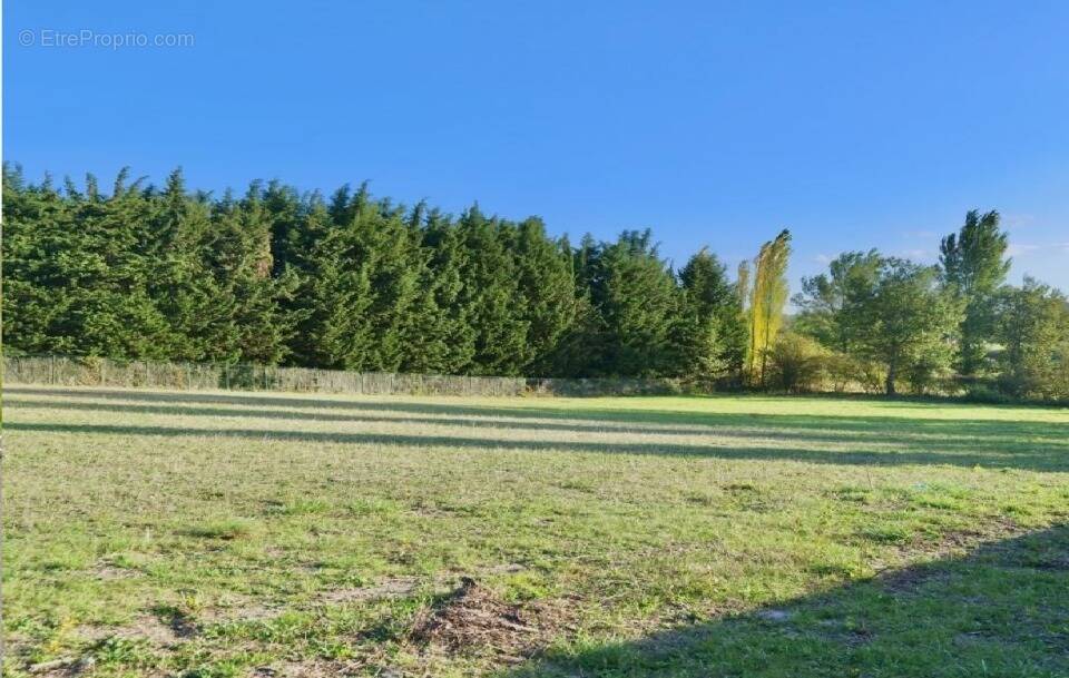 Terrain à VILLENEUVE-LES-MONTREAL