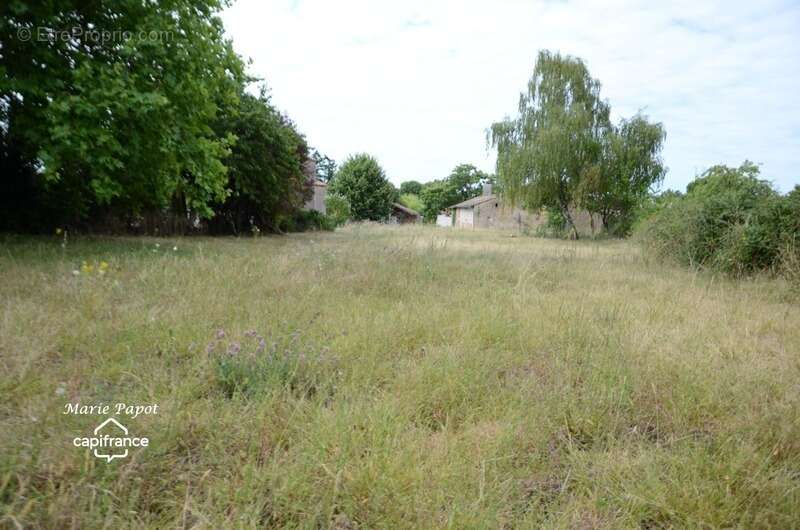 Terrain à CELLES-SUR-BELLE
