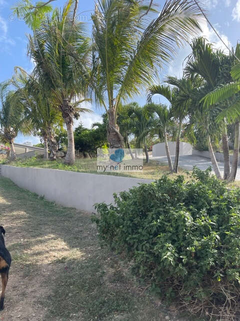 Maison à SAINT-MARTIN