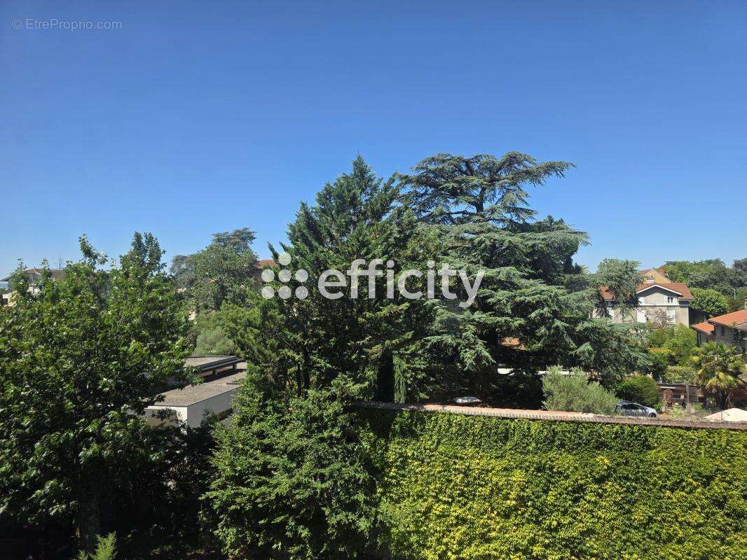 Appartement - photo 11