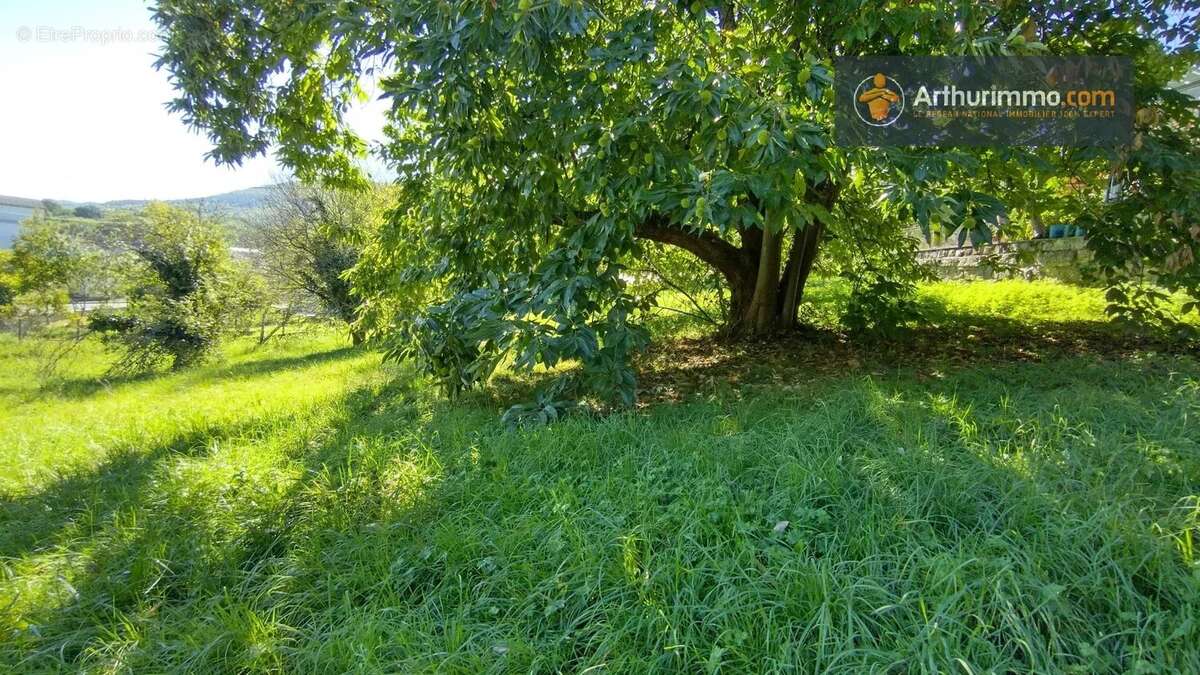 Terrain à LAROQUE-D&#039;OLMES