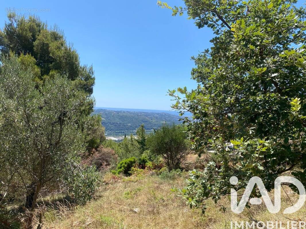 Photo 1 - Terrain à CARROS