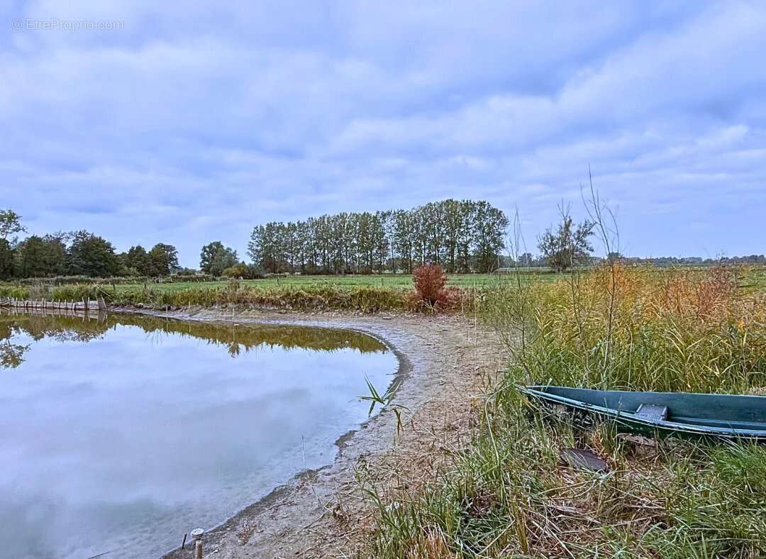 Terrain à WANDIGNIES-HAMAGE