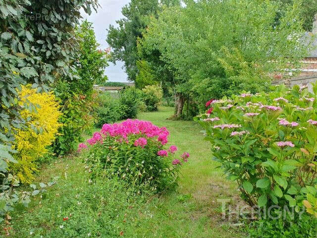 Maison à FRIVILLE-ESCARBOTIN