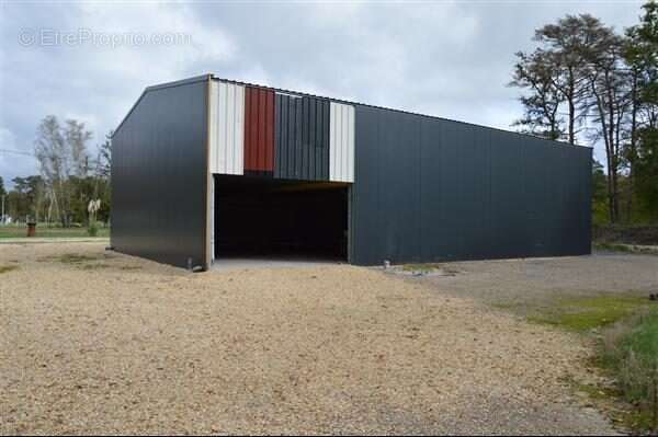 Appartement à VIERZON