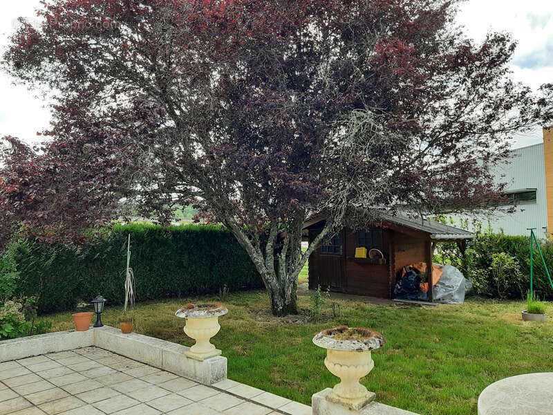Maison à LUZY
