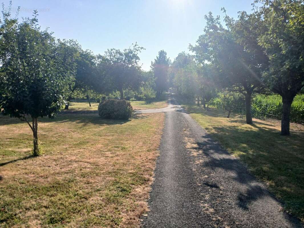 Maison 225 m² à Port-Brillet  - photo 2
