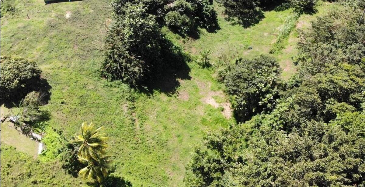 Photo 1 - Terrain à SAINTE-MARIE