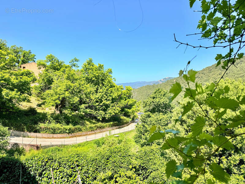 GUAGNO (Corse) : A vendre, maison en pierres avec dépendance, jardin, vue dégagée - photo 16