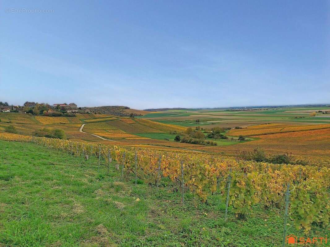 Photo 5 - Maison à SEZANNE