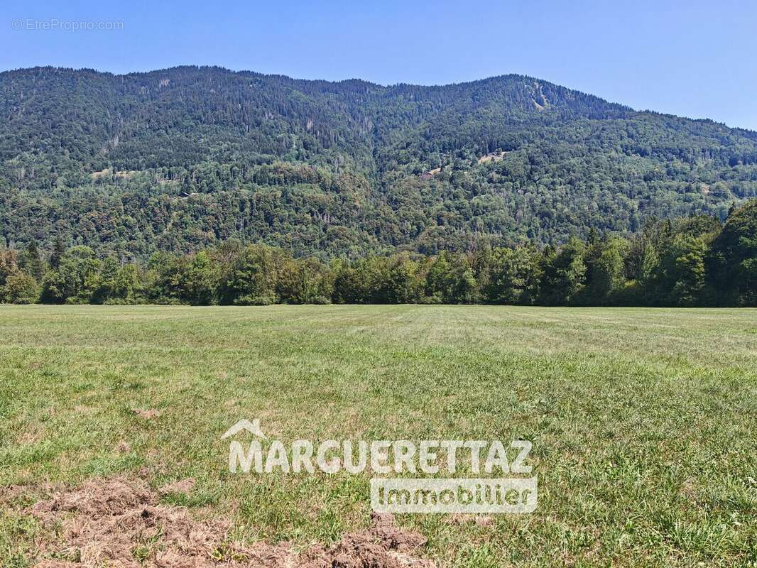 Ferme savoyarde à vendre à la Rivière Enverse - photo 13
