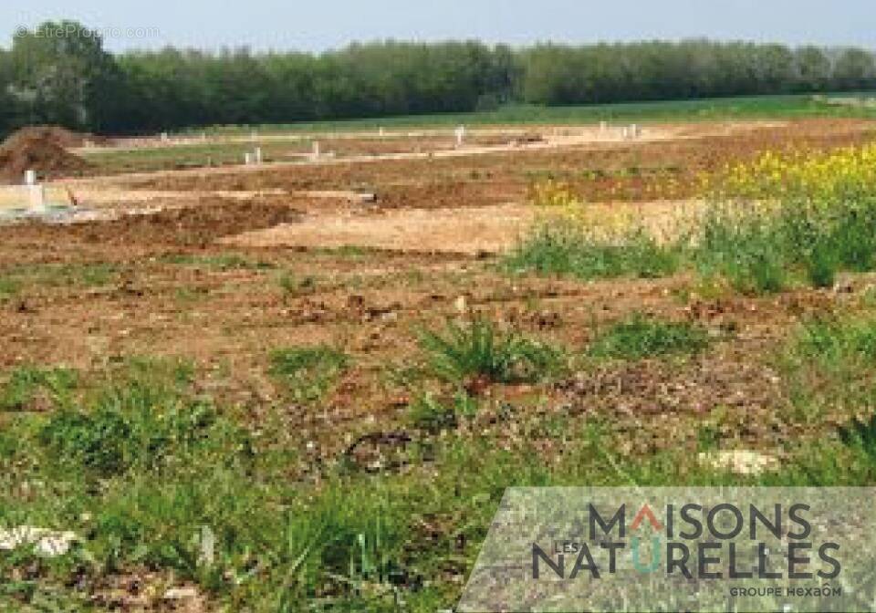 Terrain à CAMPIGNEULLES-LES-GRANDES