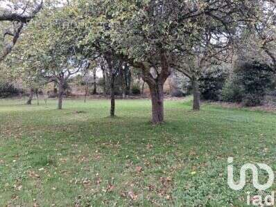 Photo 7 - Maison à LOCMARIA-GRAND-CHAMP