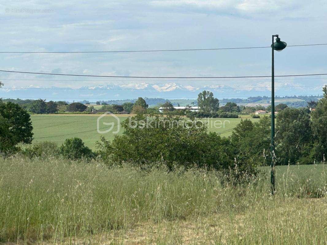 Terrain à ESCALQUENS