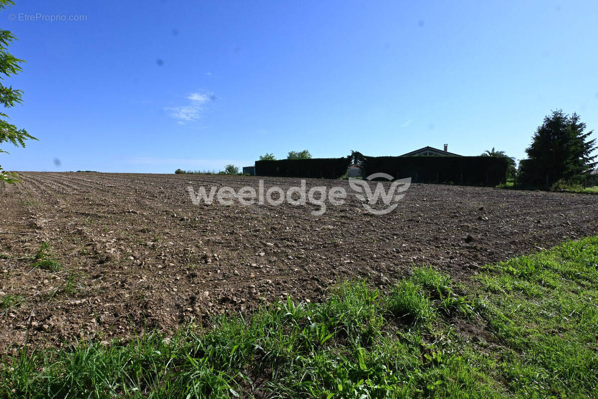 Terrain à PONLAT-TAILLEBOURG