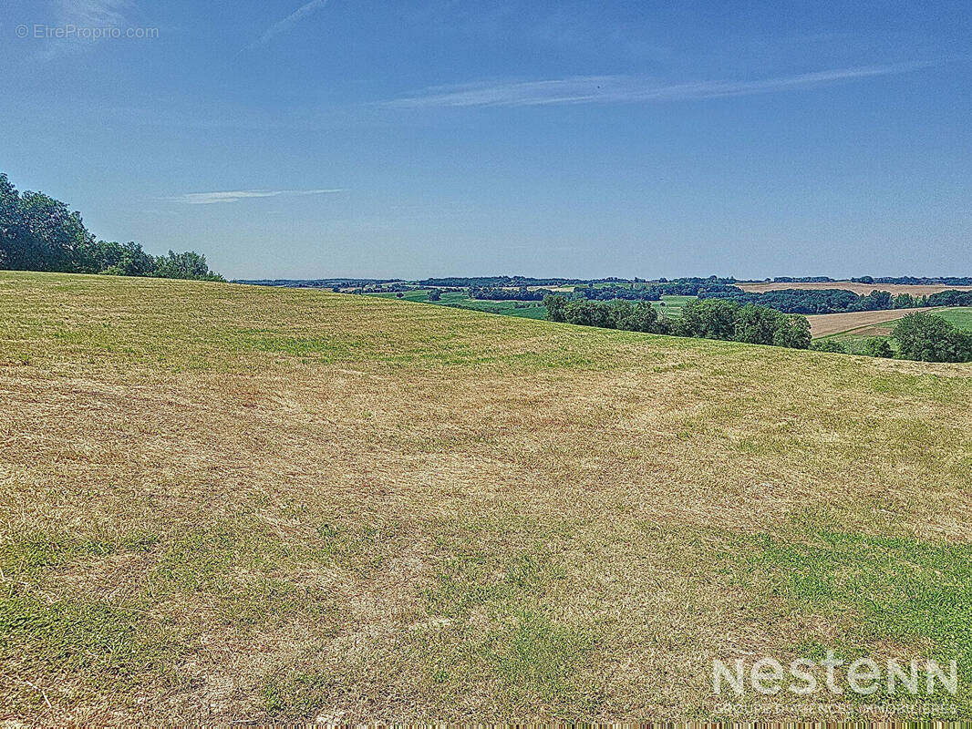 Terrain à CASTELNAU-SUR-L'AUVIGNON