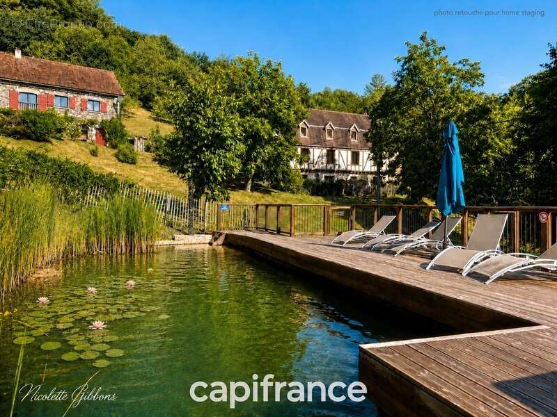Domaine avec Trois Gîtes, Deux Sources Naturelles, Deux Piscines et 6 Hectares aux Portes de Beaulieu-sur-Dordogne - photo 2