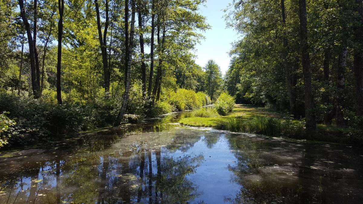 Terrain à CLEMONT