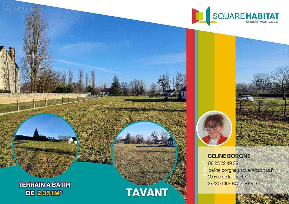 Terrain à TAVANT