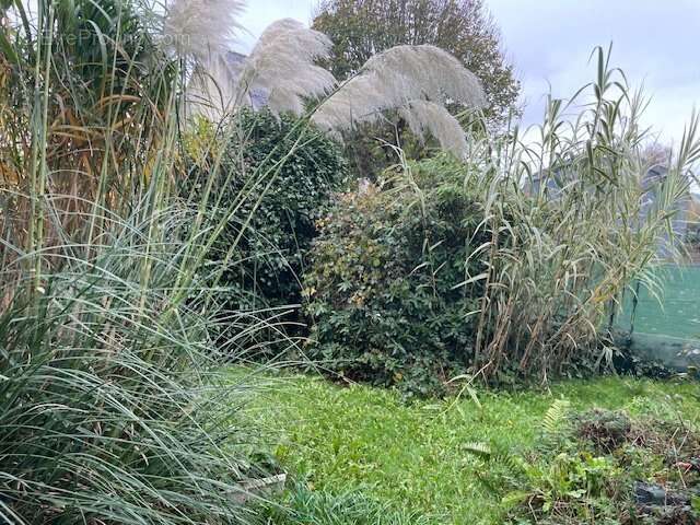 Maison à CHATEAULIN