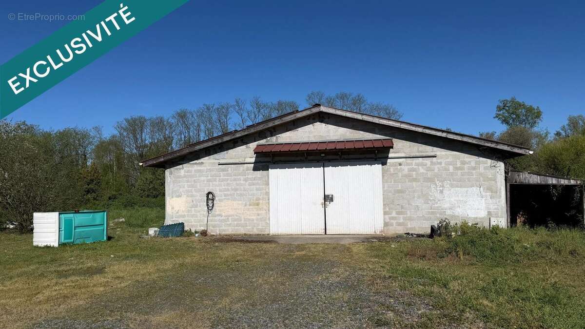 Photo 4 - Maison à AMBARES-ET-LAGRAVE