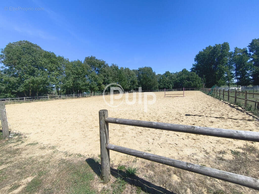 Propriété Equestre Bernay Saint Martin - photo 9